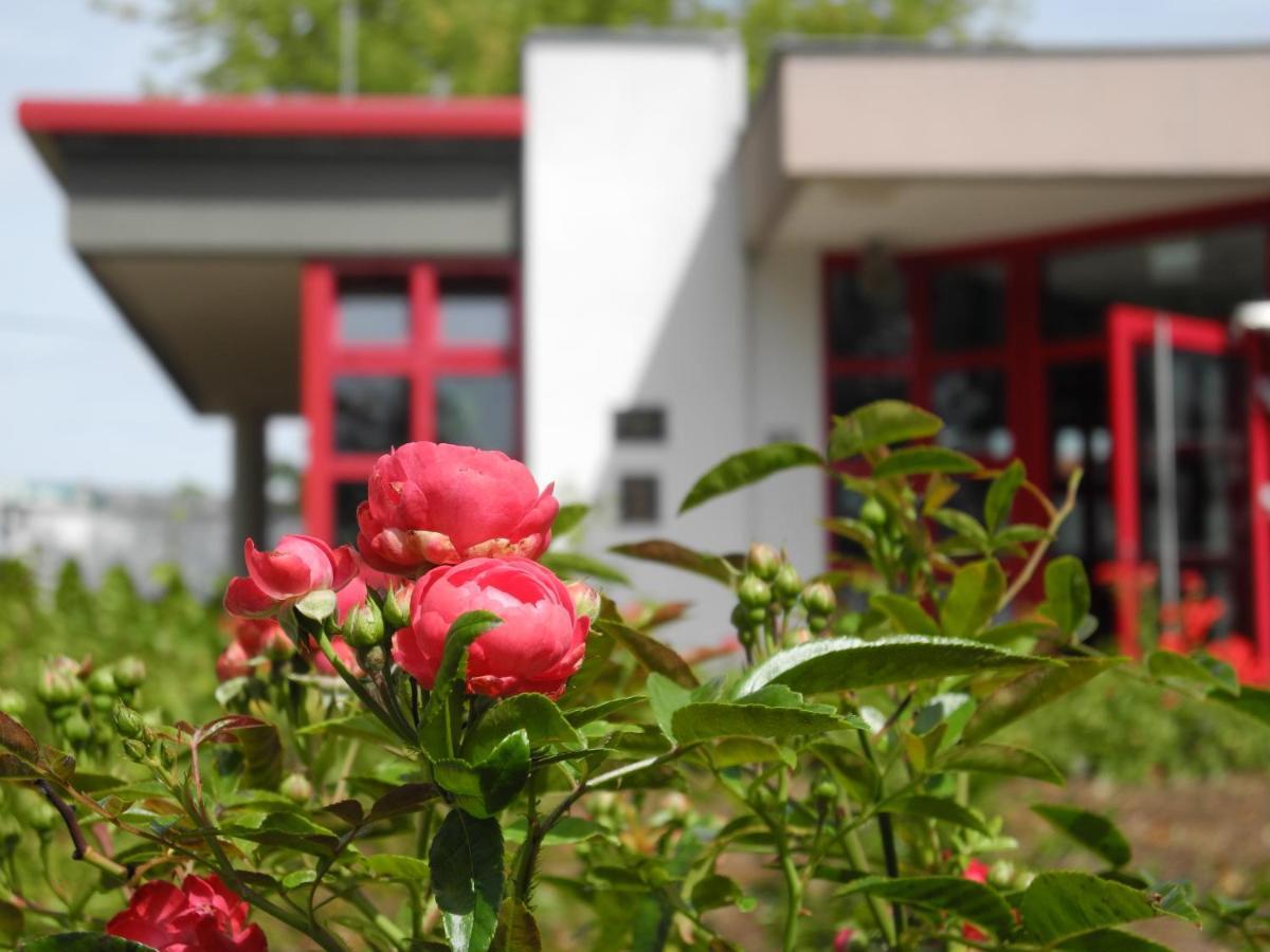 Rosen-Hotel Sangerhausen Exterior foto